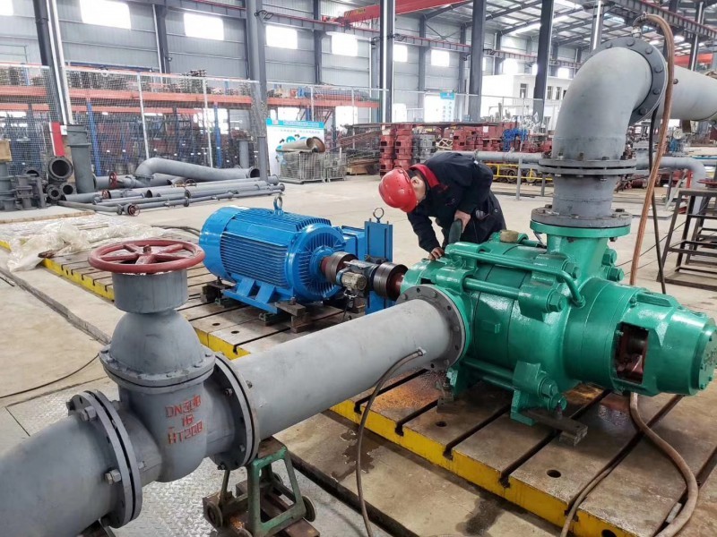 香蕉视频在线观看视频