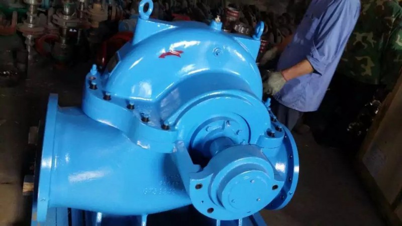 香蕉视频在线观看视频