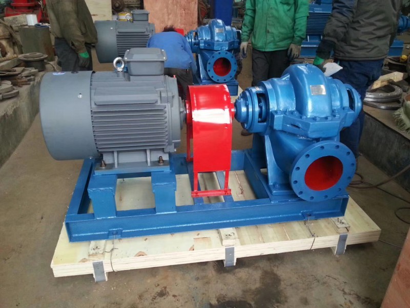 香蕉视频在线观看视频