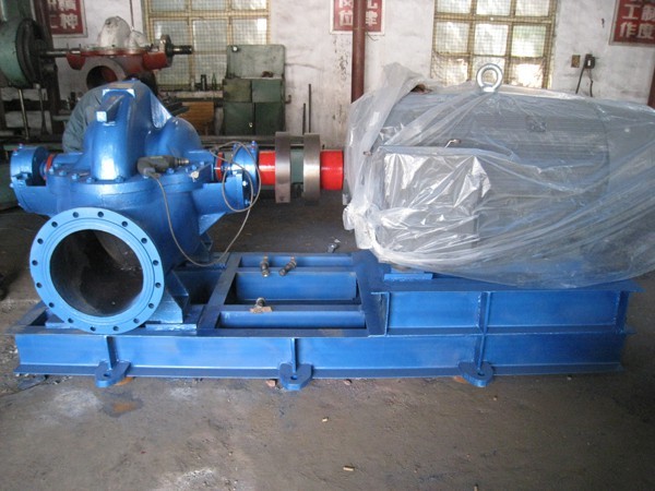 香蕉视频在线观看视频