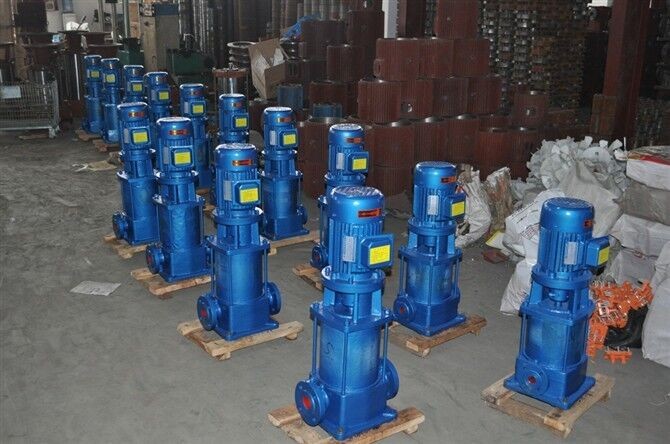 香蕉视频在线观看视频