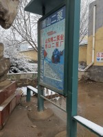 香蕉视频免费在线