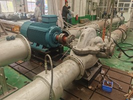 香蕉视频在线观看视频測試