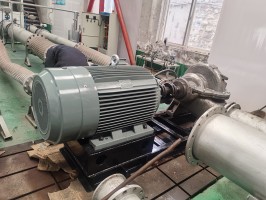 香蕉视频在线观看视频測試