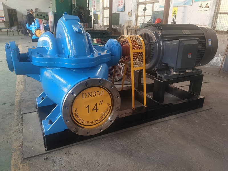 博山香蕉视频在线观看视频